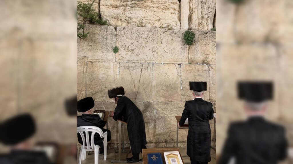 איצקוביץ': התפילות של גולדקנופף והקמפיין של מקלב