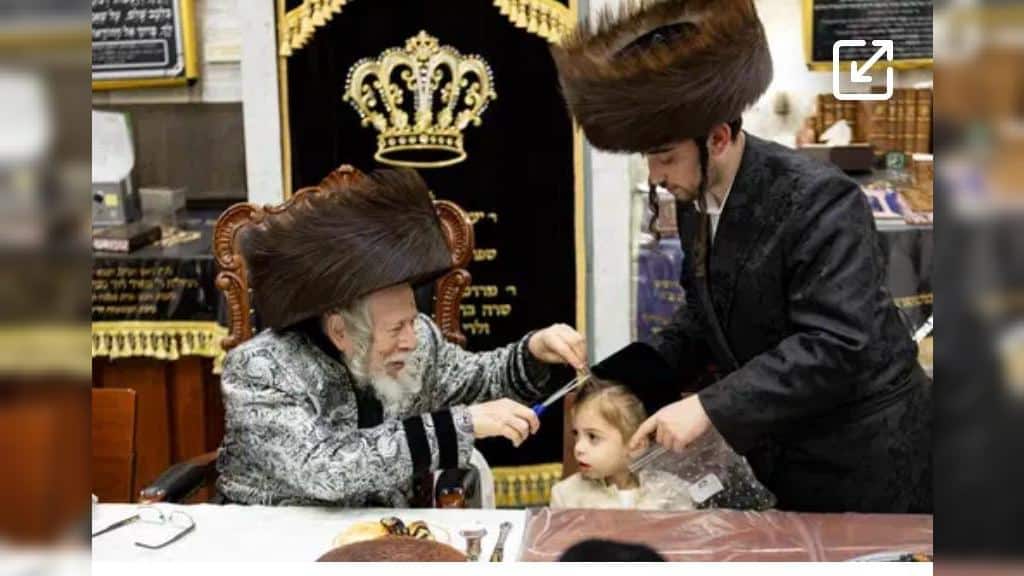 המשב"ק: עוגת הגבינה מהחסידים והאדמו"ר שניקה את ביהמ"ד