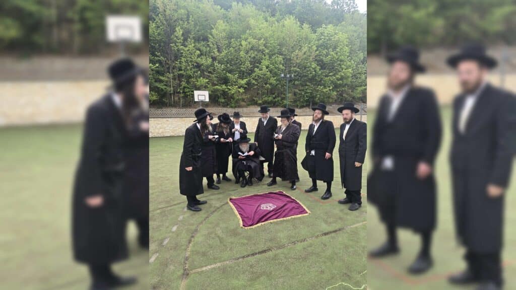 המשב"ק: עוגת הגבינה מהחסידים והאדמו"ר שניקה את ביהמ"ד