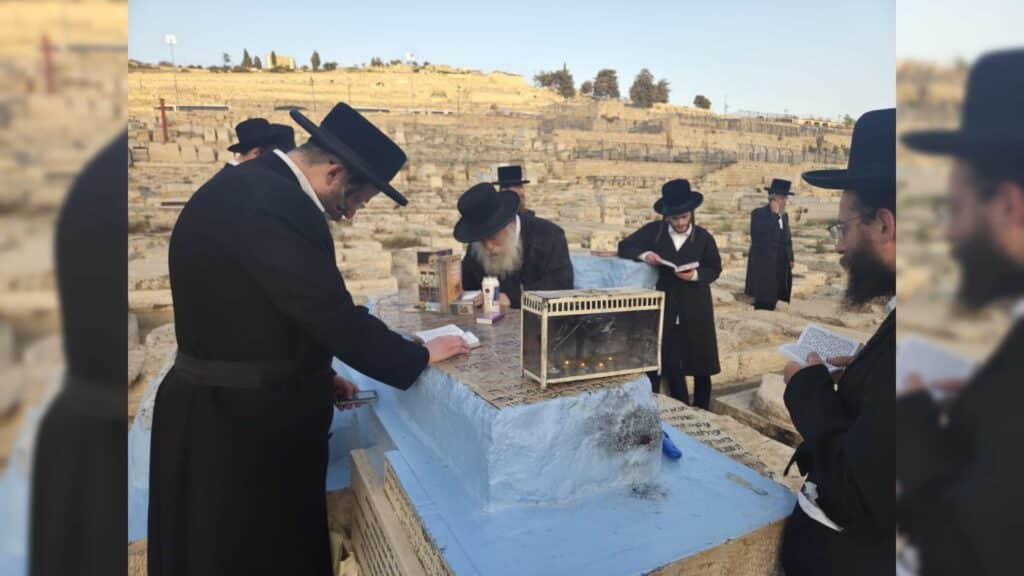 המשב"ק: עוגת הגבינה מהחסידים והאדמו"ר שניקה את ביהמ"ד