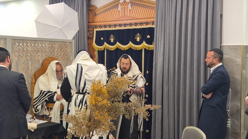 איצקוביץ': התפילות של גולדקנופף והקמפיין של מקלב
