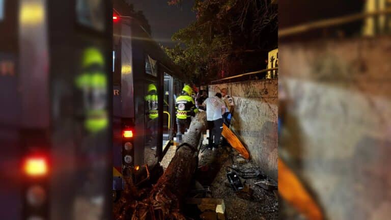 אירוע קשה בת"א: אוטובוס התנגש בעץ – פצועים רבים במקום