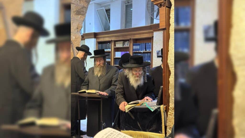 המשב"ק: עוגת הגבינה מהחסידים והאדמו"ר שניקה את ביהמ"ד