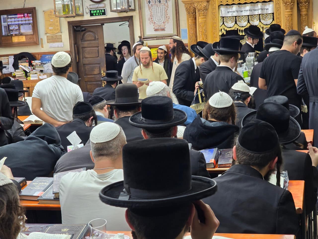 צילום: ברוך שולביץ