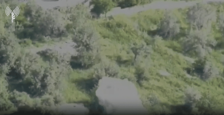 חיסול מחבלי חיזבאללה חמושים בדרום לבנון