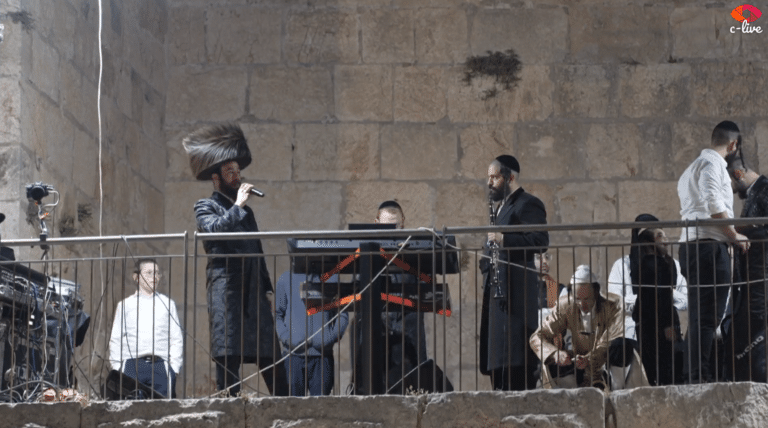 שידור חוזר: הילולת דוד המלך בחצר הציון עם גדולי הזמר