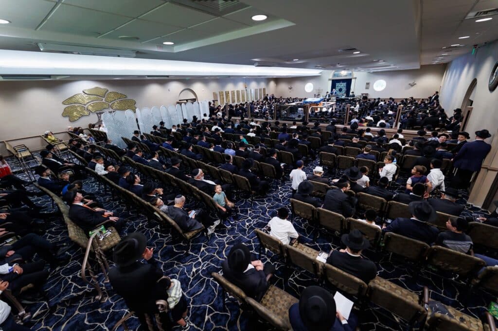 בריתחא עם רבי דב: אלפים פתחו את מסע הצלת עולם התורה