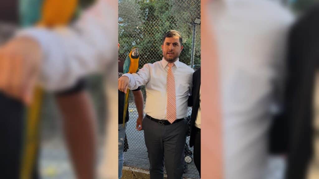 איצקוביץ': הדרמה בבית שמש, התוכי של ראש העיר ואורח בלשכה