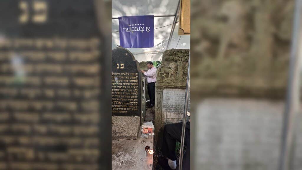 איצקוביץ': הדרמה בבית שמש, התוכי של ראש העיר ואורח בלשכה