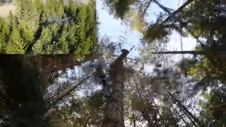 הרחפן העצום שמשנה את הדרך לטפל בעצים