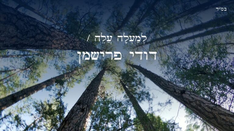 דודי פרישמן עם הלהיט שכבש את הישיבות יוצא רשמית