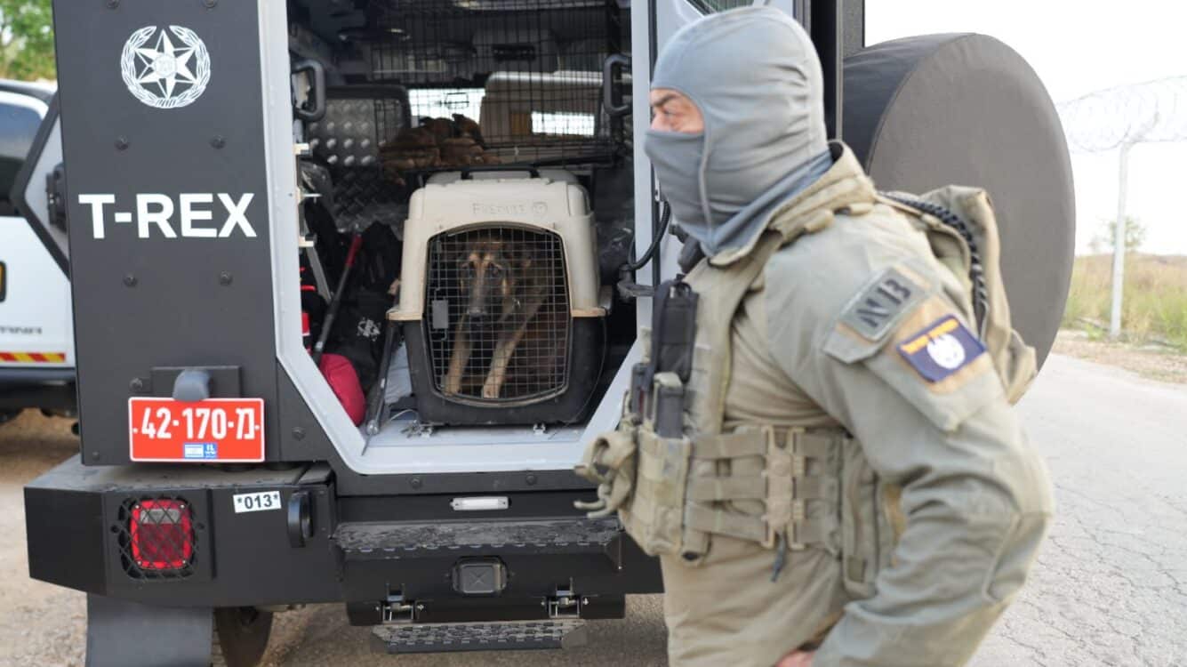תיעודים קשים נחשפו: ארבעה נעצרו בחשד לניהול קרבות כלבים