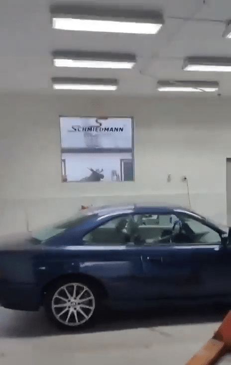 האייל שנכנס למוסך: שלוש מכוניות יוקרה ניזוקו
