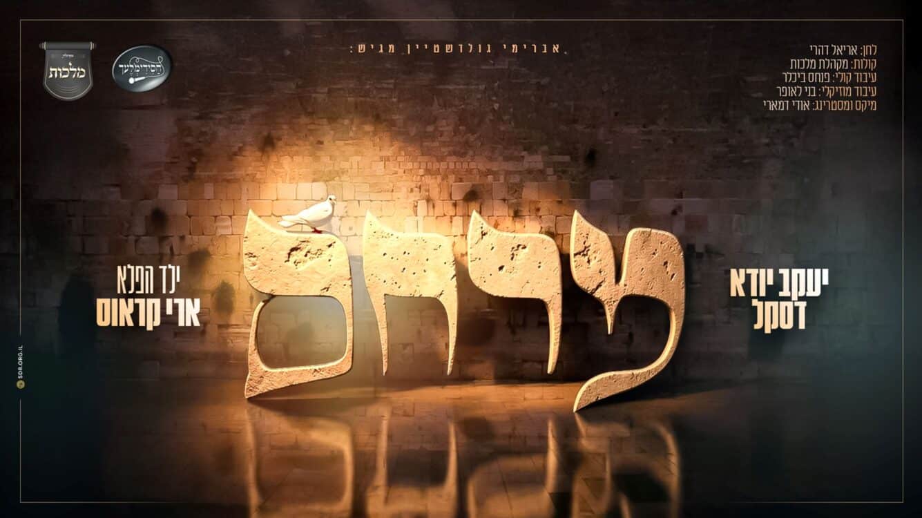 מרחם - יענקי דסקל, מקהלת מלכות, חסידימלעך וילד הפלא ארי קראוס
