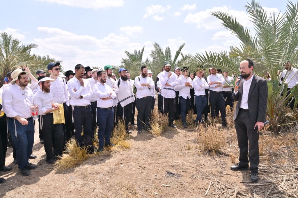 כמאה וחמישים מורי הוראה ערכו סיור מיוחד במטעי לולבי רוסוף כמאה וחמישים מורי הוראה ערכו סיור מיוחד במטעי לולבי רוסוף