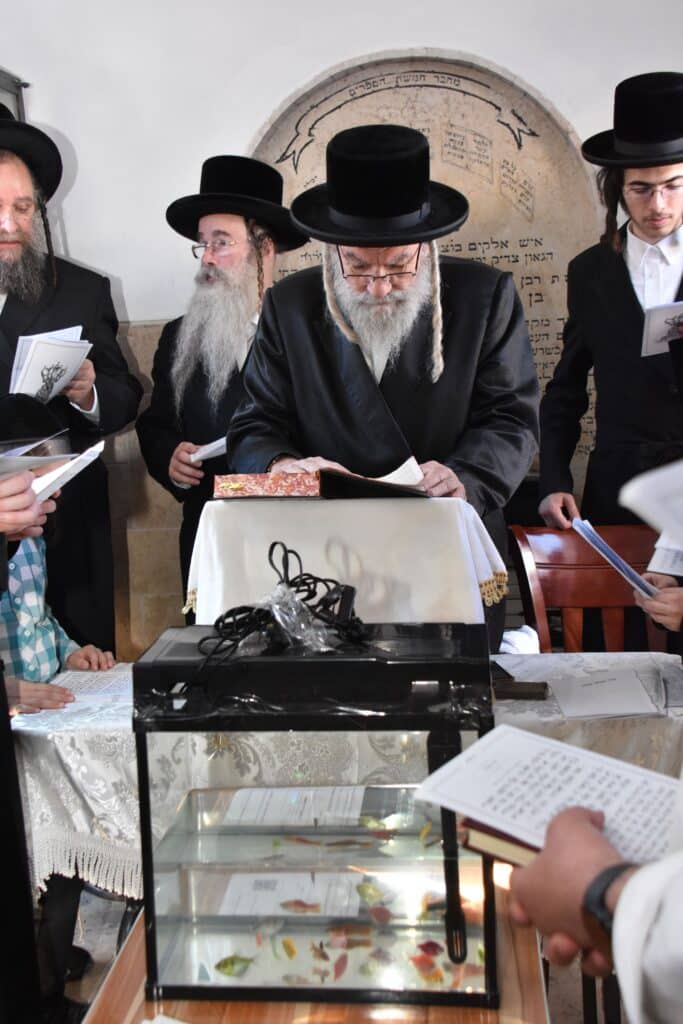 גלריה: ערב יום כיפור ומוצאי יום כיפור בחצר חסידות אשלג גלריה: ערב יום כיפור ומוצאי יום כיפור בחצר חסידות אשלג