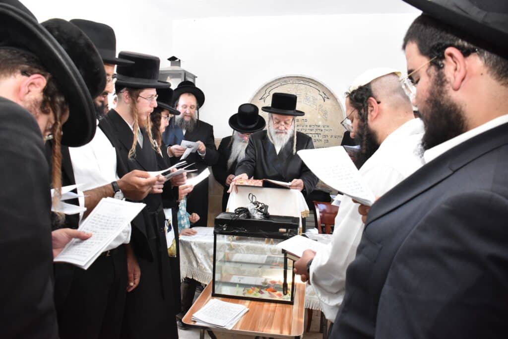 גלריה: ערב יום כיפור ומוצאי יום כיפור בחצר חסידות אשלג גלריה: ערב יום כיפור ומוצאי יום כיפור בחצר חסידות אשלג