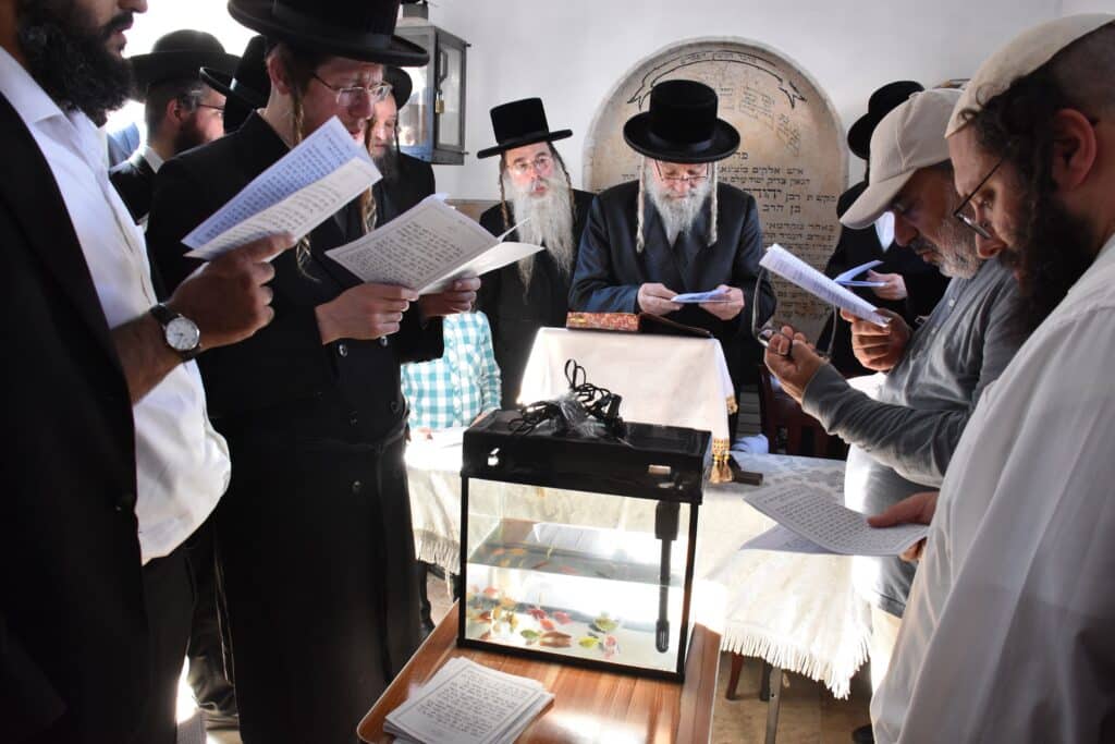 גלריה: ערב יום כיפור ומוצאי יום כיפור בחצר חסידות אשלג גלריה: ערב יום כיפור ומוצאי יום כיפור בחצר חסידות אשלג