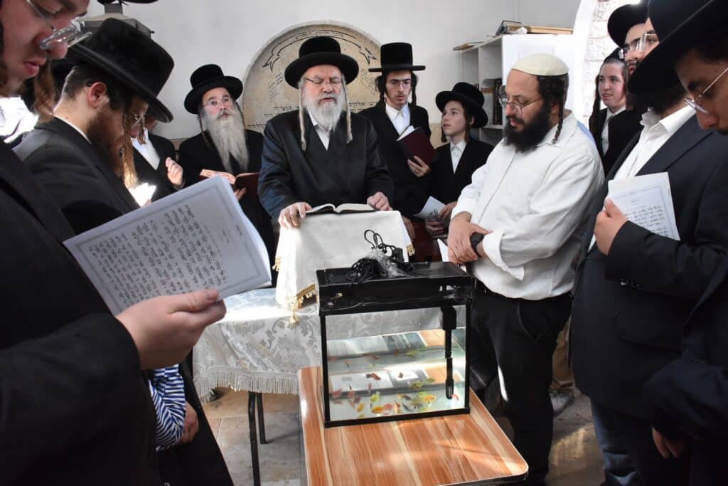 גלריה: ערב יום כיפור ומוצאי יום כיפור בחצר חסידות אשלג גלריה: ערב יום כיפור ומוצאי יום כיפור בחצר חסידות אשלג