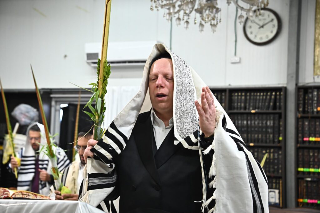 גלריה: הגאון הרב ליאור גלזר בנענועי הלולב בבית מדרשו בב"ב גלריה: הגאון הרב ליאור גלזר בנענועי הלולב בבית מדרשו בב"ב