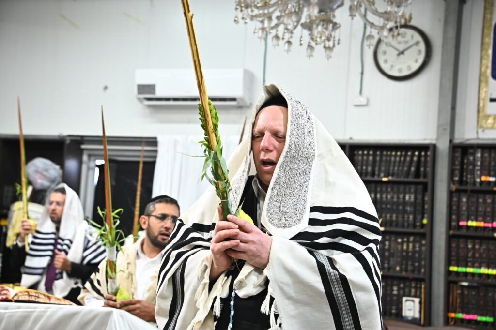 גלריה: הגאון הרב ליאור גלזר בנענועי הלולב בבית מדרשו בב"ב גלריה: הגאון הרב ליאור גלזר בנענועי הלולב בבית מדרשו בב"ב