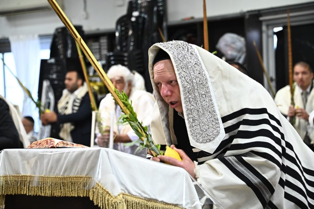 גלריה: הגאון הרב ליאור גלזר בנענועי הלולב בבית מדרשו בב"ב גלריה: הגאון הרב ליאור גלזר בנענועי הלולב בבית מדרשו בב"ב
