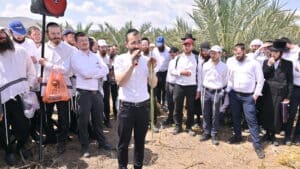כמאה וחמישים מורי הוראה ערכו סיור מיוחד במטעי לולבי רוסוף