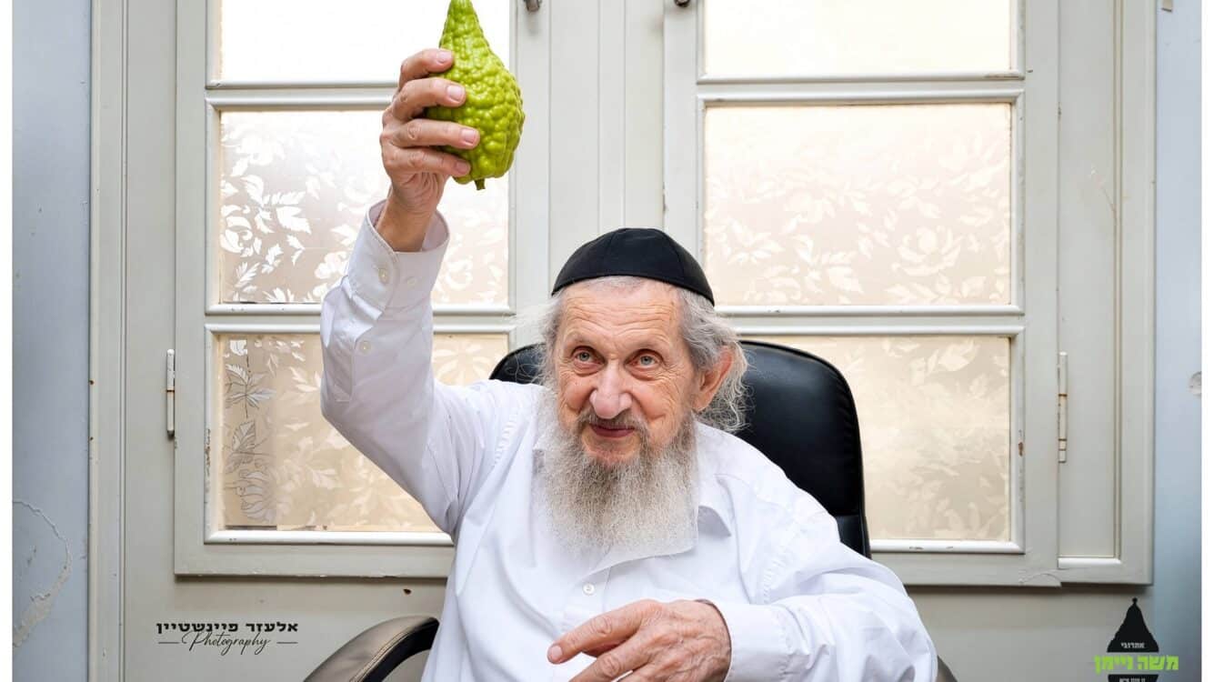 תיעוד: מרן הגר"ד לנדו משתעשע עם האתרוג שבחר