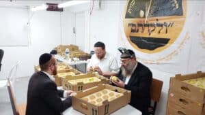 תכלית ההידור היישר מהשדות – ובמחירים שוברי שוק