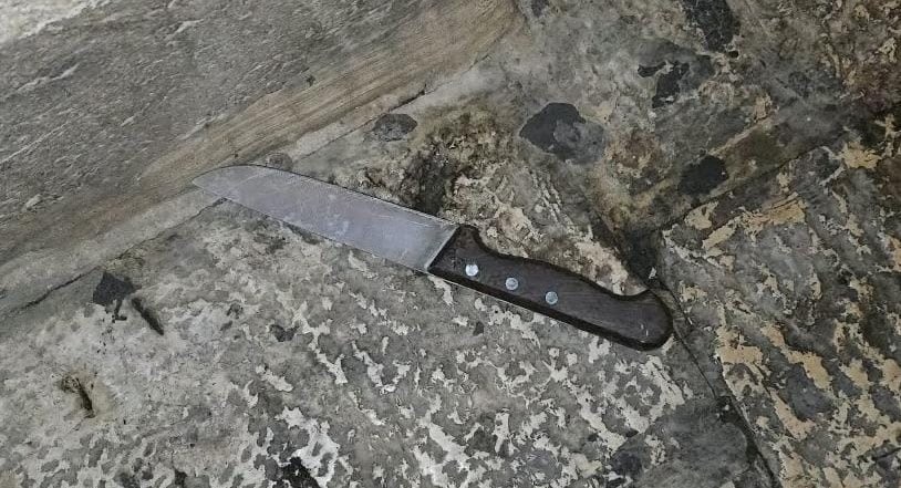 פיגוע בשער שכם: מחבל הסתער עם סכין וניסה לדקור לוחם מג״ב