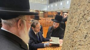 ח"כ ישראל אייכלר יוחלף באליקים שטארק