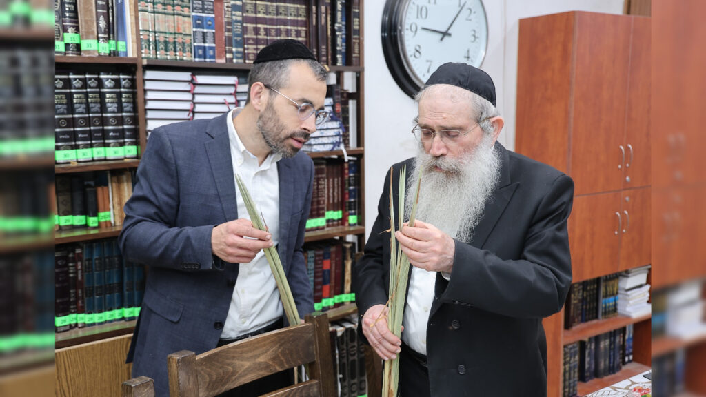 לקראת החג: אלי רוסוף הציג את הלולבים בבתי גדולי ישראל לקראת החג: אלי רוסוף הציג את הלולבים בבתי גדולי ישראל