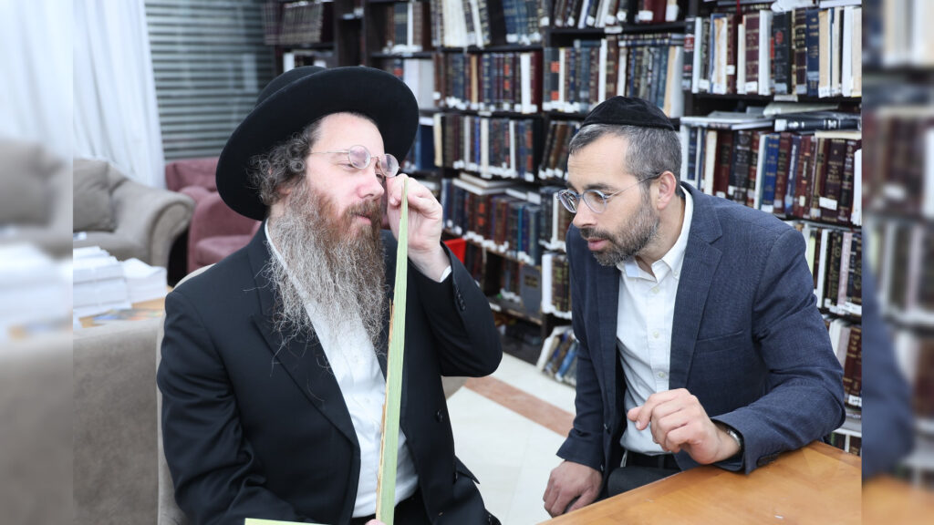 לקראת החג: אלי רוסוף הציג את הלולבים בבתי גדולי ישראל לקראת החג: אלי רוסוף הציג את הלולבים בבתי גדולי ישראל