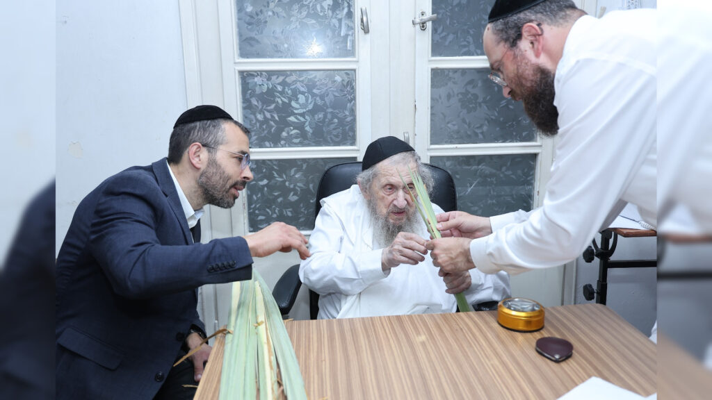 לקראת החג: אלי רוסוף הציג את הלולבים בבתי גדולי ישראל לקראת החג: אלי רוסוף הציג את הלולבים בבתי גדולי ישראל