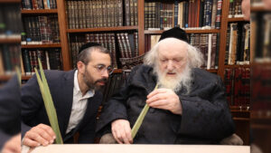 לקראת החג: אלי רוסוף הציג את הלולבים בבתי גדולי ישראל