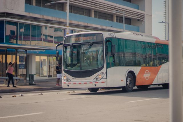 הסעות תלמידים: כל מה שהורים חייבים לדעת