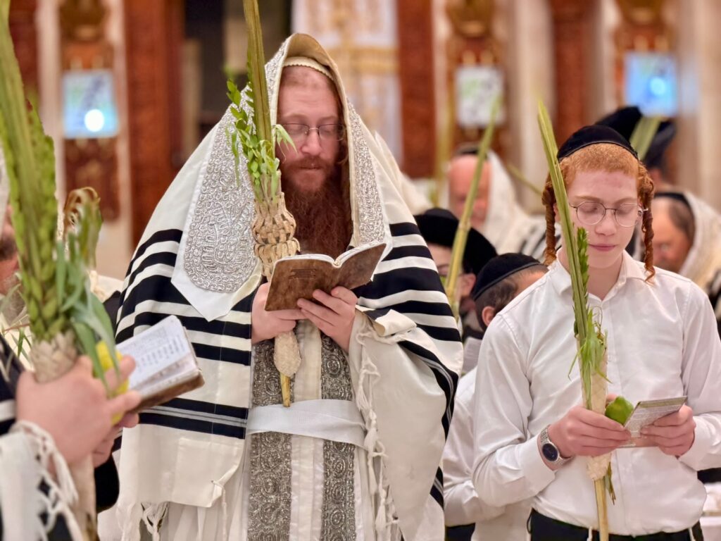 ירח האיתנים בחצר הקודש קאליב ירח האיתנים בחצר הקודש קאליב