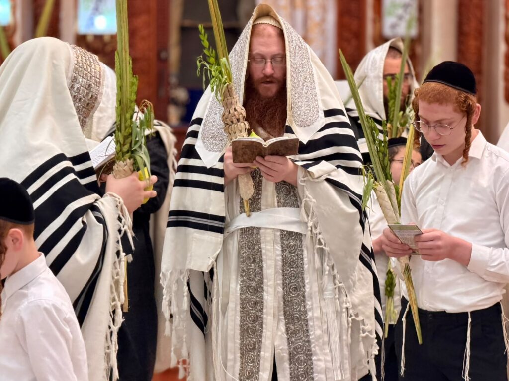 ירח האיתנים בחצר הקודש קאליב ירח האיתנים בחצר הקודש קאליב