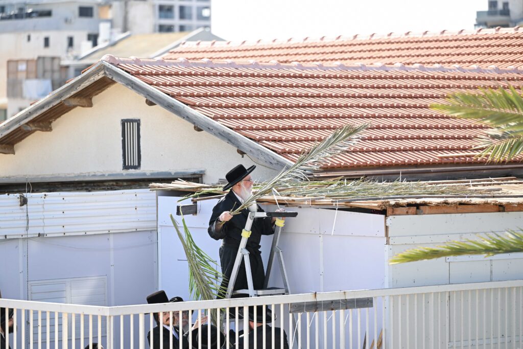 הנחת הסכך ועד והנענועים בלולב: גלריה מחג הסוכות בצאנז הנחת הסכך ועד והנענועים בלולב: גלריה מחג הסוכות בצאנז