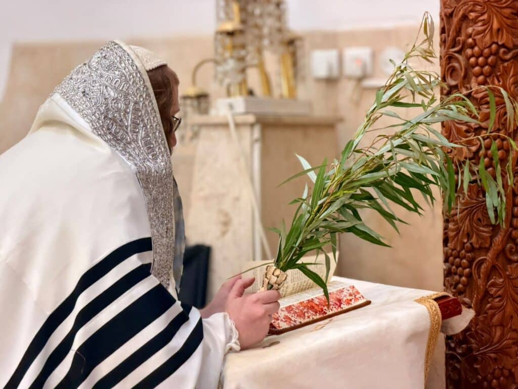 ירח האיתנים בחצר הקודש קאליב ירח האיתנים בחצר הקודש קאליב