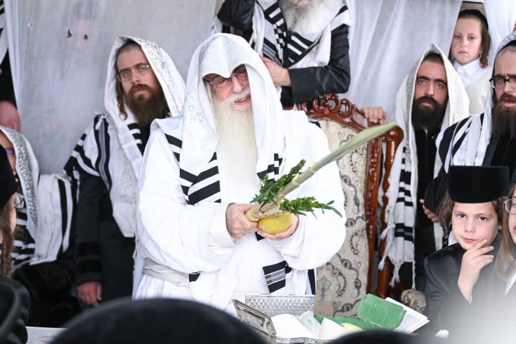 הנחת הסכך ועד והנענועים בלולב: גלריה מחג הסוכות בצאנז הנחת הסכך ועד והנענועים בלולב: גלריה מחג הסוכות בצאנז