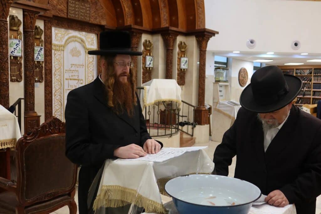 ירח האיתנים בחצר הקודש קאליב ירח האיתנים בחצר הקודש קאליב