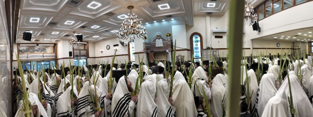 גלריה: חג הסוכות בחצר הקודש קהל חסידי ירושלים גלריה: חג הסוכות בחצר הקודש קהל חסידי ירושלים