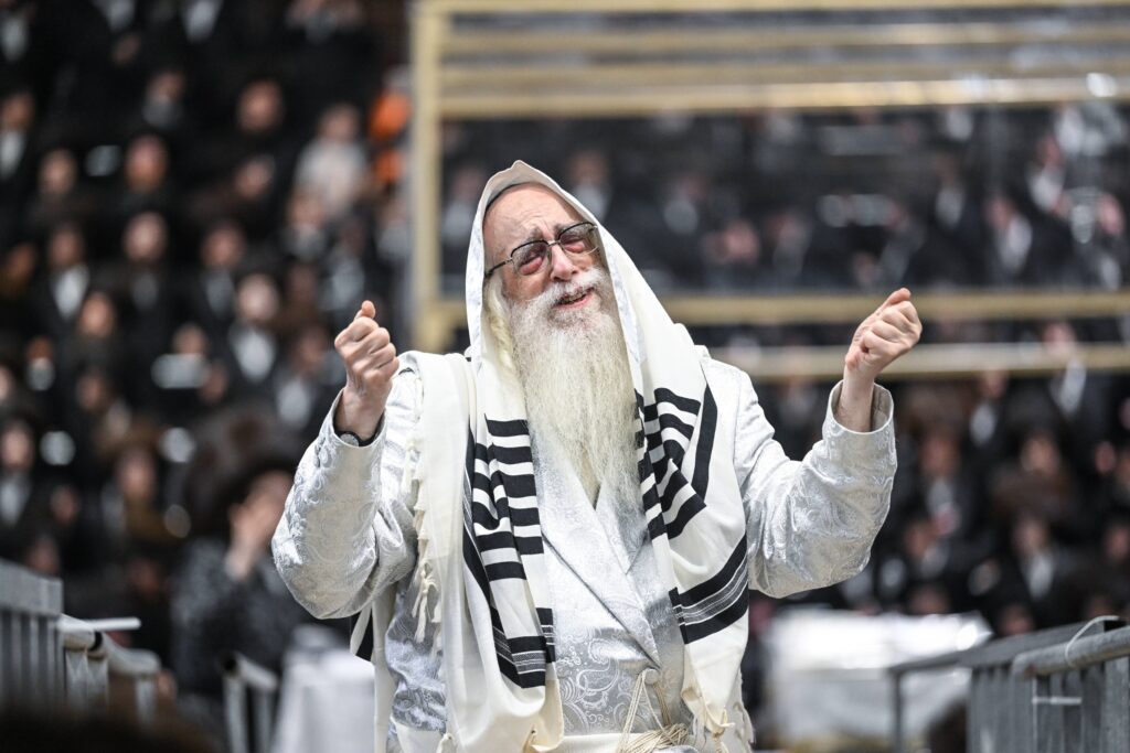 הנחת הסכך ועד והנענועים בלולב: גלריה מחג הסוכות בצאנז הנחת הסכך ועד והנענועים בלולב: גלריה מחג הסוכות בצאנז