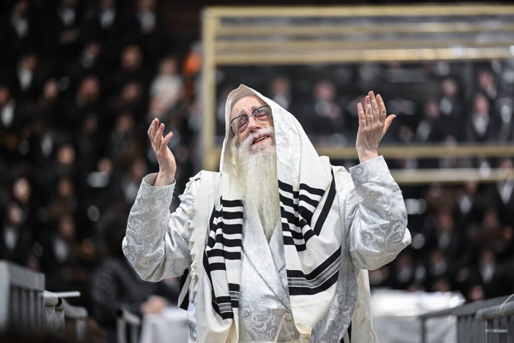 הנחת הסכך ועד והנענועים בלולב: גלריה מחג הסוכות בצאנז הנחת הסכך ועד והנענועים בלולב: גלריה מחג הסוכות בצאנז