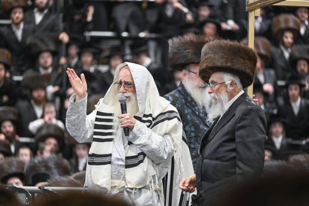 הנחת הסכך ועד והנענועים בלולב: גלריה מחג הסוכות בצאנז הנחת הסכך ועד והנענועים בלולב: גלריה מחג הסוכות בצאנז