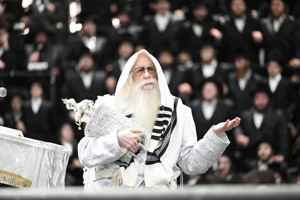 הנחת הסכך ועד והנענועים בלולב: גלריה מחג הסוכות בצאנז הנחת הסכך ועד והנענועים בלולב: גלריה מחג הסוכות בצאנז