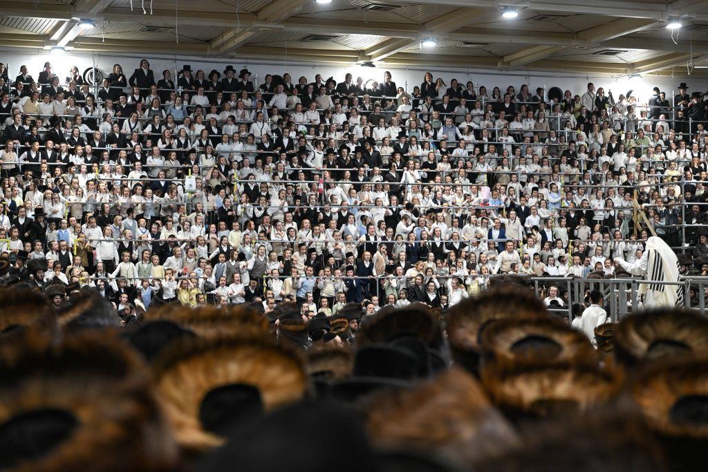 הנחת הסכך ועד והנענועים בלולב: גלריה מחג הסוכות בצאנז הנחת הסכך ועד והנענועים בלולב: גלריה מחג הסוכות בצאנז
