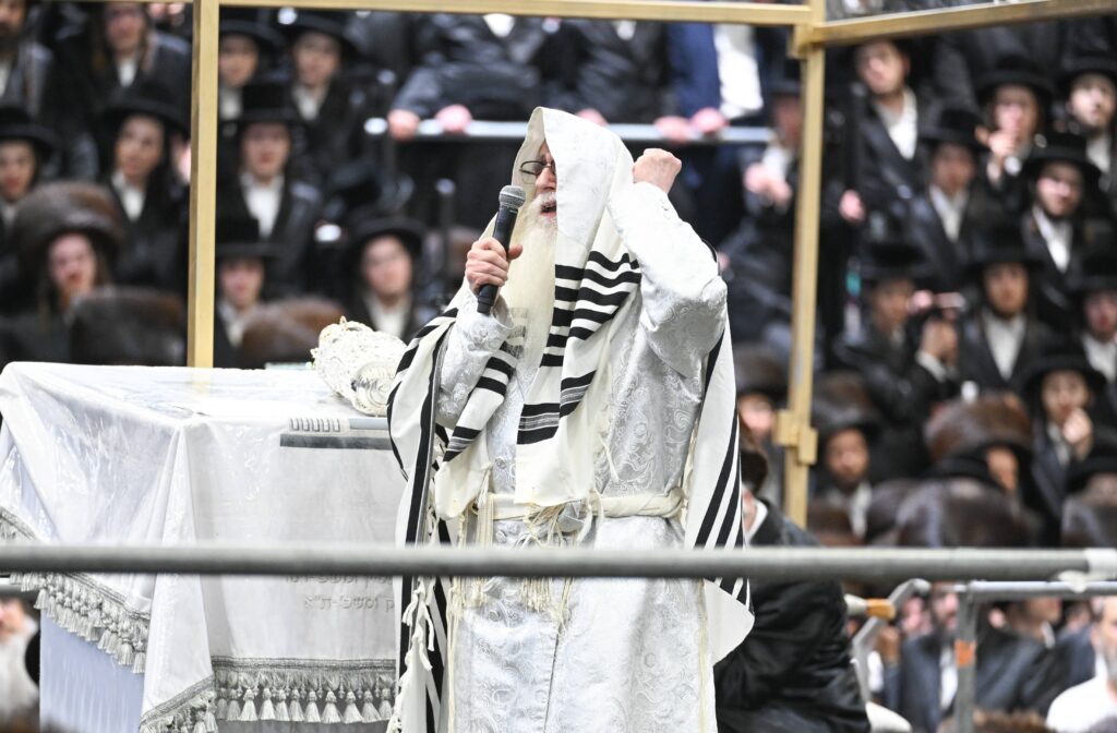 הנחת הסכך ועד והנענועים בלולב: גלריה מחג הסוכות בצאנז הנחת הסכך ועד והנענועים בלולב: גלריה מחג הסוכות בצאנז