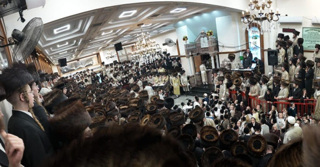גלריה: חג הסוכות בחצר הקודש קהל חסידי ירושלים גלריה: חג הסוכות בחצר הקודש קהל חסידי ירושלים